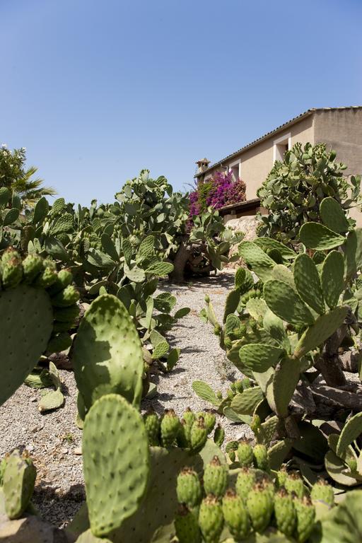 Agroturismo Can Patro Guest House Manacor  Eksteriør bilde