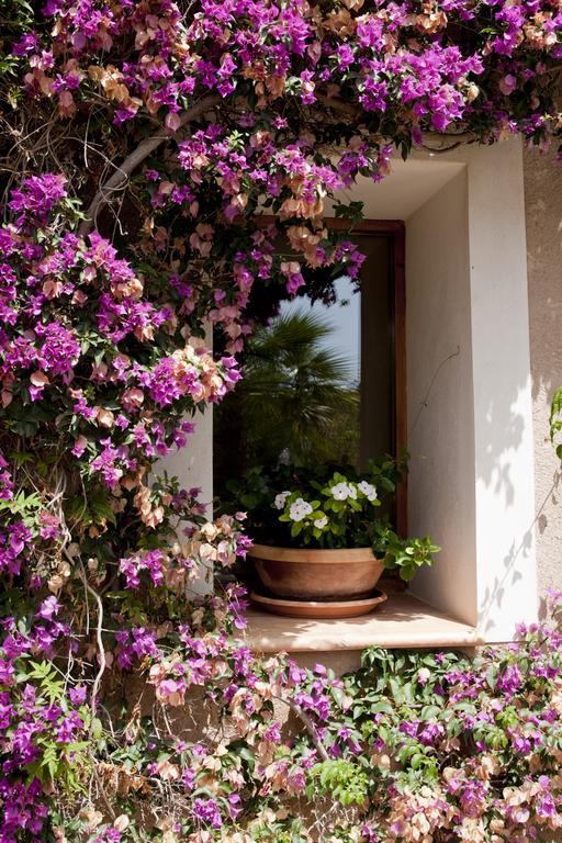 Agroturismo Can Patro Guest House Manacor  Eksteriør bilde