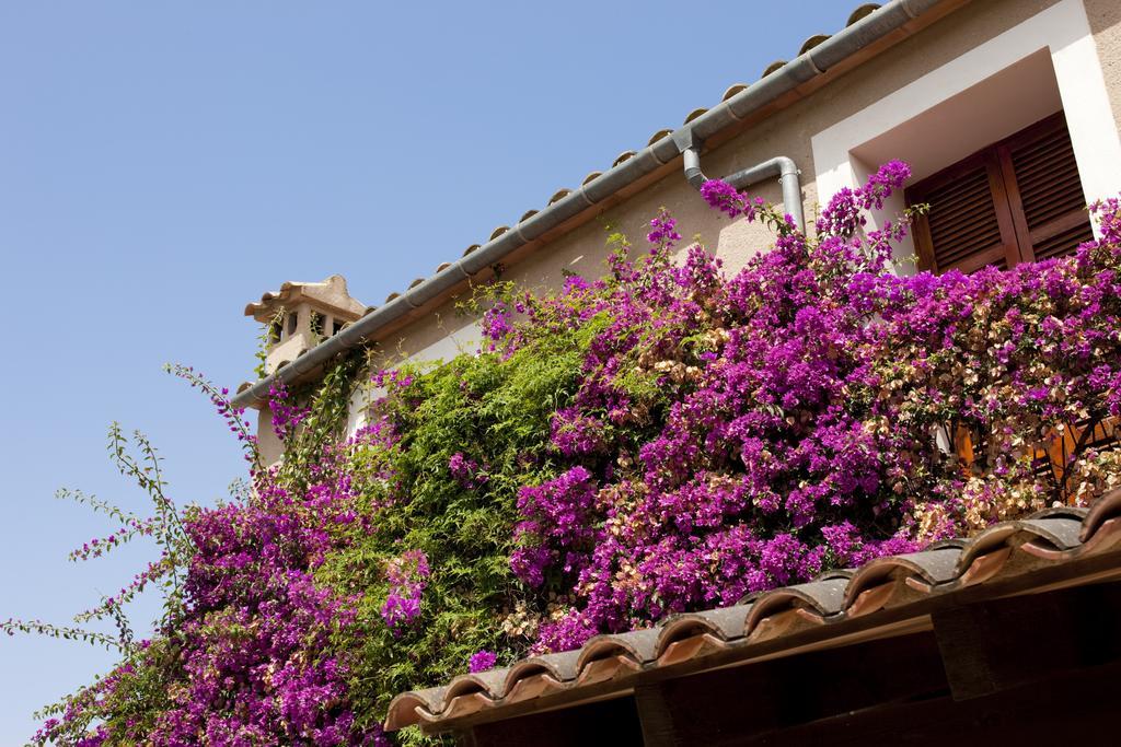 Agroturismo Can Patro Guest House Manacor  Eksteriør bilde